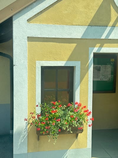 The image depicts a close-up of a yellow building facade with white trim, likely located in Wolfsthal, Austria, given the context. A dark-framed window is centered on the facade, with a wooden window box filled with vibrant red flowers and variegated green and white foliage beneath it. The window box is positioned on the yellow section of the building, below a white horizontal trim. To the right of the window, a green-covered bulletin board displays various posters, including one with German text and a "TAXI CAR" logo at the top. Sunlight casts distinct shadows from unseen architectural elements and possibly tree branches onto the building's surface. The left side of the facade features a light blue-gray section, and a dark pipe runs vertically along this area. The ground in front of the building appears to be a dark, paved surface. No people are visible in the frame.