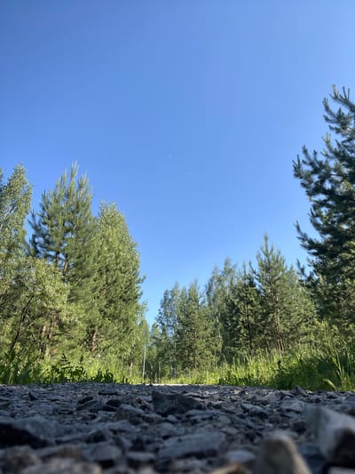 The image shows a low-angle view of a gravel path with trees lining both sides. The sky is clear and blue with a faint crescent moon visible. The trees are a mix of coniferous and deciduous varieties. The gravel path is the primary focus in the foreground, with individual stones clearly visible. The background shows a dense forest. There are no people or animals in the image. The scene appears to be a natural outdoor environment, possibly a park or a rural road in Kiselyovsk, Russia.
