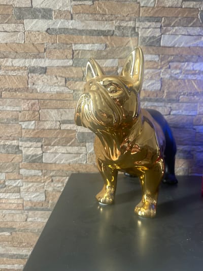 A gold-colored statue of a bulldog is positioned on a dark, flat surface in front of a textured stone wall. The statue has a highly reflective surface, showing distortions of the surroundings. The wall behind it features horizontal rows of irregularly shaped stones in varying shades of beige, gray, and white. To the right of the statue, there is a blue light source illuminating the wall. The image appears to be taken indoors, possibly in a residential setting in Laagri alevik, Estonia.
