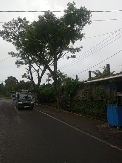 A dark asphalt road leads through a scene of green foliage and overcast skies. A black van drives on the road alongside a motorcycle. Tall trees line the left side of the road, while a concrete wall covered with plants runs along the right. A blue mobile unit sits near the wall, likely a food or beverage stand. Power lines stretch across the sky.
