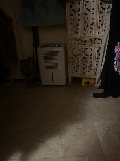 The image shows an indoor scene, possibly a living room or storage area, with various objects. A white dehumidifier is positioned on the floor, with its indicator lights illuminated. To the left of the dehumidifier, a red and black vacuum cleaner stands upright. Further to the left, a brown garment hangs on a door or hook. Behind the dehumidifier and vacuum, a dark vertical rod extends upwards. To the right of the dehumidifier, a distressed white wooden screen or cabinet with intricate carvings is visible. Beneath the screen, a yellow box with "HOUSE" and "SEMI-SWE..." printed on it is placed on the floor. A black garment with "FLIGHT SPEED" printed on it is partially visible on the far right. The floor appears to be tiled with a marble-like pattern. The lighting is dim, with a light source casting a shadow from the right. The location is identified as Fox River Grove, United States.