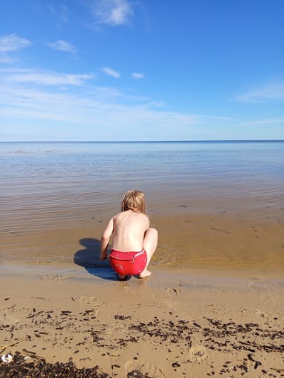 The image depicts a young child, viewed from behind, squatting at the shoreline of a large body of water in Podborov'e, Russia. The child has light-colored hair and is wearing red swim bottoms with a watermelon motif. Their left side is illuminated by direct sunlight, casting a distinct shadow to their left on the damp sand.

The immediate foreground consists of light brown sand, sparsely scattered with dark organic debris, including small sticks and plant fragments, particularly concentrated in the lower left quadrant. Footprints are visible in the sand near the water's edge. The shallow water adjacent to the child exhibits fine horizontal ripple patterns and appears brownish-gold, gradually transitioning to a clearer, light blue, and then a deeper blue hue towards the horizon. Submerged dark, elongated objects are visible through the shallow water.

A distinct, flat horizon line separates the expansive body of water from the sky. The sky is predominantly clear and blue, showing a gradient from a lighter shade near the horizon to a deeper blue overhead. Wispy white clouds are scattered across the upper portion of the sky. The scene is brightly lit, indicative of daylight conditions.