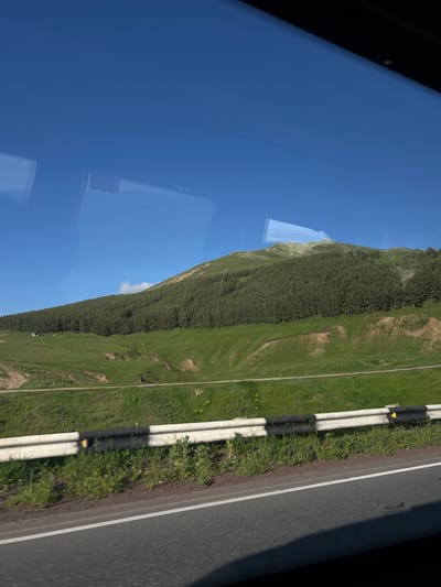 The image captures a scenic view of a grassy hillside next to a road. The hillside is covered in lush green grass and a dense forest of trees climbs up the slope. A road runs alongside the hill, with a white line marking its edge. A concrete barrier separates the road from the grassy area. The sky is a clear, bright blue, suggesting it is daytime with good weather. There are some reflections on the surface, likely from a window, indicating the photo was taken from inside a vehicle. The overall scene evokes a sense of travel and natural beauty. There is no visible text in the image. The image appears to be taken from a moving vehicle on a sunny day in a mountainous or hilly region.