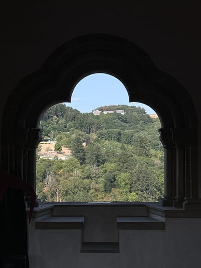 This image captures a view through a gothic archway, looking out over a densely forested hillside. The archway itself is dark and features ornate carvings on its supporting columns. The landscape beyond is a lush green expanse of trees, with some buildings visible nestled within the foliage, particularly towards the top of the hill. A clear blue sky is visible above the trees. The scene appears to be a scenic overlook, potentially from a historical building in Vianden, Luxembourg, a town known for its castle and picturesque surroundings. There are no people clearly visible in the frame.