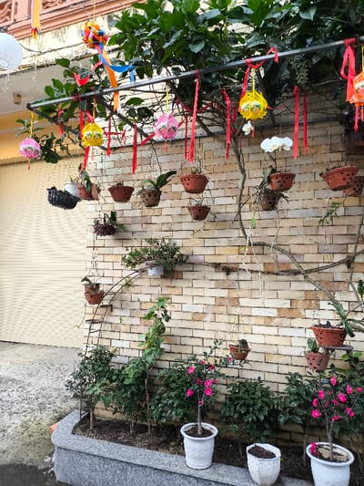 This image depicts a decorated outdoor wall and garden area in Thành phố Quảng Ngãi, Vietnam. A light-colored brick-patterned wall, predominantly beige, serves as the background. A large leafy tree extends across the upper portion, and a black metal frame is suspended beneath its canopy. From this frame and various tree branches hang multiple decorative lanterns in pink, yellow, and orange, interspersed with numerous red ribbons. A multi-colored bow is also visible near the top left. Numerous plants, including orchids with white blossoms, are suspended in various terra cotta-style and black plastic hanging baskets. Vines ascend an arched metal support affixed to the wall. At the base of the wall, a raised planter bed with a grey granite-like border contains green shrubs and two potted plants displaying pink blossoms. To the left, a beige roll-down security door is partially visible. The foreground consists of a concrete ground surface. No individuals or specific actions are present in the scene.