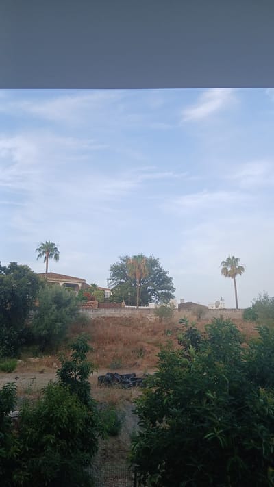 The image depicts an outdoor scene with a clear blue sky dotted with wispy clouds. In the middle ground, a residential building with a tiled roof is visible, surrounded by greenery and trees. Several palm trees are scattered throughout the landscape, with one prominent palm tree standing tall on the left side of the image. A large, mature tree with a full canopy is located in the center. In the foreground, dense foliage and trees obscure the lower part of the scene. There are no people or animals visible in the image. The environment appears to be dry and somewhat arid, with brown, grassy slopes and scattered vegetation. A dark, indistinct object, possibly debris or old equipment, is present on the slope in the middle ground. The scene suggests a rural or semi-rural setting, potentially in the city of El Rosario, Spain, given the climate and vegetation.