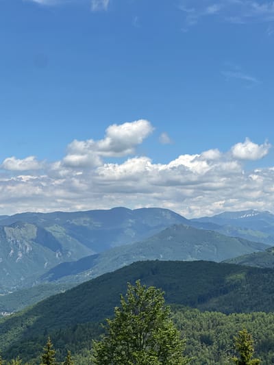 The image depicts a vast mountain landscape under a bright blue sky dotted with white, puffy clouds. The mountains are layered, with the closest ones covered in lush green forests and more distant peaks appearing in shades of blue and gray. Some of the far-off mountains show hints of snow on their summits. The foreground features the tops of pine trees. The scene appears to be a natural, scenic overlook.