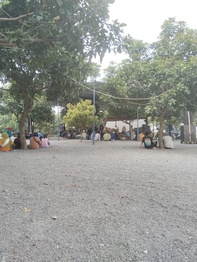 The image depicts an outdoor gathering of approximately twenty to thirty people seated on a gravel ground beneath several trees. The setting appears to be a rural or semi-rural area, possibly in Plosorejo, Indonesia, given the presence of what looks like a traditional puppet performance stage in the background, complete with shadow puppets and a speaker system. The people are dressed in casual attire, with some wearing headscarves. The overall atmosphere suggests a community event or a performance. The ground is covered in small, light-colored gravel. Several trees provide shade, and a makeshift canopy or stage structure is visible in the background, further suggesting a cultural event. There are also some motorcycles parked in the background, indicating the presence of vehicles.