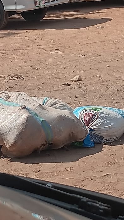 The scene is situated on an unpaved, light brown dirt surface in Langtang, Nigeria, under bright daylight. In the midground, two large, irregularly shaped sacks rest on the ground. The sack on the left is light-colored, possibly off-white, constructed from woven material with prominent turquoise or light blue bands. The sack to its right is a white woven material with blue and green patterns near its base, and a partially discernible reddish-brown logo, possibly depicting text, on its upper surface. In the upper left background, a portion of a white vehicle is visible, including a black tire, a silver hub, and a partial Nigerian license plate displaying "LGT 6131N." The lower foreground reveals the dark-colored frame of a vehicle's window or door. No individuals, actions, or direct interactions are depicted.