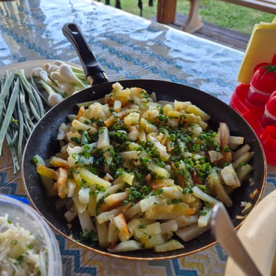 A close-up shot captures a black frying pan filled with golden-brown, pan-fried potatoes, generously sprinkled with chopped green onions. The potatoes are cut into irregular, bite-sized pieces, some showing crispy edges. The pan is placed on a table covered with a blue, yellow, and white patterned tablecloth.
To the left of the pan, a plate holds several white scallions and long, dark green chives. In the background, a stack of red objects with green tops, possibly decorative tomatoes, sits on a yellow napkin. A silver fork is partially visible, resting on the rim of the pan, suggesting the meal is being served or eaten. In the lower right corner, a clear plastic container holds a portion of what appears to be a shredded cabbage salad, also garnished with green onions.
The lighting suggests it is daytime, possibly outdoors given the glimpse of green foliage in the upper left background. The overall impression is a casual, home-cooked meal, perhaps a picnic or outdoor dining experience. No text is visible in the image. The scene appears to be set in a location identified as "Новостройка, Russia."