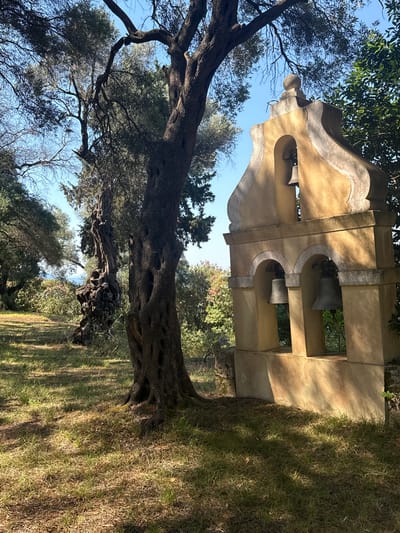 The image depicts a rustic bell tower in a sun-dappled outdoor setting, likely in the Municipal Unit of Meliteieis, Greece. The bell tower, constructed of weathered, pale yellow stone with decorative grey stone accents, features two arched openings on its front facade, each housing a dark metal bell. Above these, a single, smaller bell is visible in a higher opening. The tower is topped with a rounded finial.
To the left of the bell tower, a large, gnarled olive tree dominates the foreground, its thick, textured trunk and branches casting dappled shadows on the grassy ground. The ground itself is covered in a mix of dry grass, fallen leaves, and patches of greener growth. In the background, the landscape is lush with vegetation, including more trees with dark foliage and some flowering shrubs, suggesting a Mediterranean environment. The sky is a clear, bright blue. No people are present in the scene.