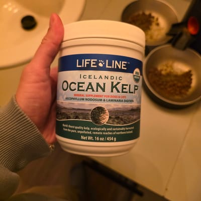 A person's hand holds a white plastic container labeled "LIFE LINE ICELANDIC OCEAN KELP MINERAL SUPPLEMENT FOR DOGS & CATS". The container is partially obscuring a bathroom sink with a black drain in the background. Two metal bowls containing brown kibble are visible to the right of the container. The image appears to have been taken in a home bathroom. The provided context about the city of Beaverton, United States of America, is not visually verifiable from the image itself.