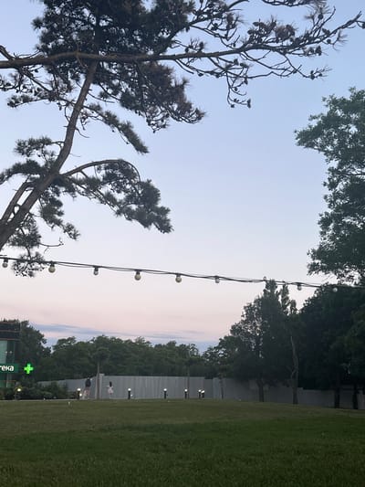 The image depicts an outdoor scene with a pale sky and a string of lights stretched across the frame. In the foreground, the dark, silhouette of a tree with pine needles dominates the left side. To the right, a neatly mown lawn slopes down towards a fence. Beyond the fence, a line of trees creates a backdrop, with a few lights visible near the ground. In the distance, a few indistinct figures can be seen near the fence. A green cross symbol is visible on a sign in the lower right portion of the image. The time of day appears to be late evening or early morning, with the soft sky suggesting twilight. The overall impression is one of a peaceful, somewhat subdued outdoor setting, possibly a park or garden area. There is no clear indication of a specific event taking place.