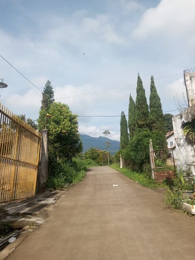 A paved road stretches forward, flanked by vegetation and fences. On the left, a yellow metal gate stands partially open. Lush greenery, including tall cypress-like trees, lines both sides of the road. In the distance, a mountain is visible under a cloudy sky. Power lines run overhead. The scene is likely rural or residential, given the vegetation and lack of traffic. There are no visible people or animals. Debris, possibly paper, is scattered on the road. The architecture is simple, with the gate and fences appearing weathered. The location, Ein Chay Hnit Se, Myanmar, is not explicitly evident from the image.