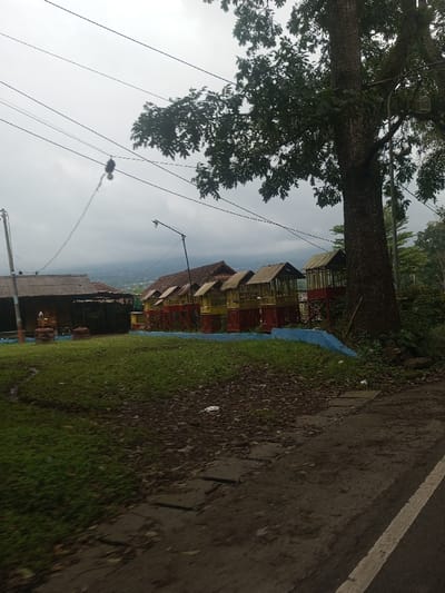 The scene, located in Kandapola, Sri Lanka, presents an outdoor view under an overcast sky. In the foreground, a dark asphalt road with a solid white edge line runs from the lower right corner, adjacent to a dirt and gravel shoulder. This shoulder transitions to an uneven grassy area interspersed with exposed soil and scattered organic debris. A low, irregularly shaped barrier, painted blue, separates the grassy area from a slightly elevated dirt embankment.
Positioned on this embankment, a series of eight small, elevated structures are arranged linearly. Each structure features an open-sided light-colored (likely yellow or beige) upper section with a dark, sloped roof, supported by red-painted base pillars. To the far left, a larger, rustic building with a dark corrugated metal roof and dark walls is partially visible, with white objects, possibly crates or cages, in its vicinity.
Two streetlamps on poles are present; one is centered towards the left, and another is positioned further right, near a large, mature tree. This tree, with a thick, textured trunk and dense green foliage, dominates the right side of the frame. Multiple black power lines or communication cables traverse the upper portion of the image horizontally; one line exhibits a dark, cylindrical object suspended from it. In the background, distant hills or mountains are visible beneath the uniformly gray, overcast sky. No individuals are present in the scene.