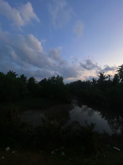 The image presents a view of a landscape scene in Keudeublang, Indonesia. The sky, taking up the left portion of the image, is filled with a mix of light blue sky and white and grey clouds, suggesting either early morning or late afternoon lighting conditions.
The right portion of the image features lush vegetation, including trees (some of which are palm trees), shrubs, and grass. The density of the vegetation obscures clear details. There is also a body of water, possibly a pond or stream, which reflects the sky and surrounding trees.
The image appears to be taken from ground level, and there is no evidence of human presence or structures. The overall impression is one of a natural, rural setting.