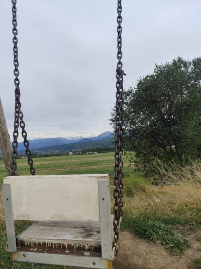 This image features a close-up of a white wooden swing seat with rusted metal supports and thick dark metal chains. The swing is positioned in the foreground, partially obscuring a scenic view. Beyond the swing, a green grassy field stretches towards a town nestled at the base of a majestic mountain range. The mountains are snow-capped, indicating a cooler climate or higher altitude. The sky is overcast with a muted, cloudy appearance, suggesting it is either early morning or late afternoon, or simply a cloudy day. A large, leafy green tree is visible on the right side of the frame, with tall, dry grass in the immediate foreground. The overall mood is serene and tranquil, evoking a sense of calm and perhaps nostalgia. The scene is set outdoors in a rural or semi-rural area, likely in Dolan, Kazakhstan, given the geographical context. There is no visible text in the image.