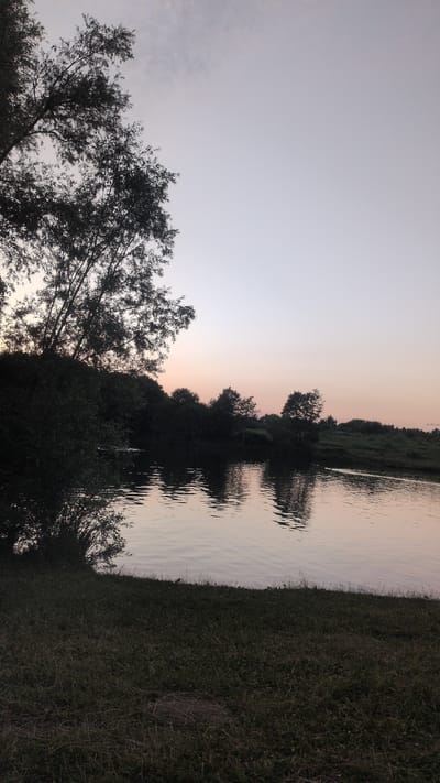 The image depicts a serene natural landscape at dusk, likely near Appen, Germany. The foreground is dominated by a grassy embankment leading down to a body of water. The water's surface is calm, reflecting the pale sky and the silhouettes of trees and vegetation along the opposite bank. The sky transitions from a soft pinkish hue near the horizon to a pale gray at the top. On the left side of the frame, a large tree with dark, feathery foliage extends into the sky, its branches creating a stark silhouette against the light. The opposite bank is densely lined with trees and bushes, their forms indistinct in the low light. The overall atmosphere is peaceful and quiet, characteristic of an evening scene in a rural or park-like setting. No people or man-made structures are clearly visible.
