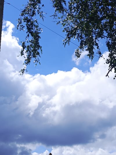 This media file captures a bright, sunlit day with a dynamic sky. The foreground features lush green tree branches, with dark green leaves that appear to be from a birch tree, hanging down from the top of the frame. These branches are silhouetted against a vivid blue sky dotted with fluffy white cumulus clouds. A thin dark wire, possibly a power line, stretches horizontally across the upper portion of the image, partially obscured by the branches.
The lower half of the image transitions to a more dramatic sky. While bright white clouds are still present, they are interspersed with large, dark grey, and deep blue clouds, suggesting a potential change in weather or simply a more textured cloud formation. In the very bottom of the frame, a tiny portion of a person's head, possibly wearing a brown hat or having dark hair, is visible. This suggests the photo was taken from a low vantage point, looking upwards.
The overall impression is one of nature's grandeur, with the interplay of light and shadow on the clouds and the vibrant blue of the sky. The presence of the tree branches and the wire hints at an outdoor setting, perhaps a park, a backyard, or a natural area in Staraya Kupavna, Russia. The bright sunlight and the fluffy clouds suggest it is daytime, likely late morning or afternoon. There is no visible text in the image.