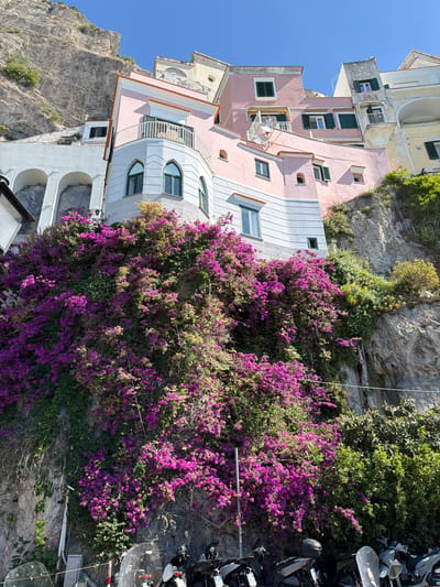 The image shows a building in Pogerola, Italy. The building is multi-storied and painted pink and white, with green shutters on some of the windows. The building is surrounded by lush greenery, including a vibrant purple bougainvillea climbing up the side. The building is built on a steep hillside, with a rocky cliff face visible in the background. Several motorbikes are visible on the right side of the image. The sky is clear and blue.