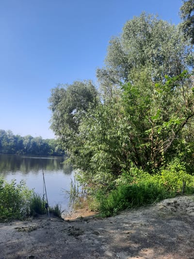 The image depicts a tranquil riverside scene in Pukhivka, Ukraine, on a clear, sunny day. A fishing rod with a reel is planted in the sandy bank, angled towards the calm water. The river is bordered by lush green foliage, including trees with silver-green leaves and dense undergrowth, which extends to the right of the frame. The water reflects the clear blue sky and the surrounding greenery. The ground in the foreground is a mixture of sand and dry leaves. There are no people visible in the image.