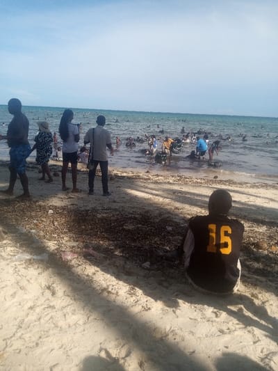 The image depicts a crowded beach scene in Shanzu ward, Kenya, under a clear, light blue sky. The environment consists of a sandy beach transitioning into a shallow ocean, with visible patches of dark marine vegetation or seaweed in the water and scattered across the shoreline. Shadows are cast to the right, indicating a sun position to the left of the frame.
In the immediate foreground, a person is seated on the sand with their back to the viewer, wearing a black long-sleeved shirt with the yellow number "15" prominently displayed on the back. The sand in this area and extending into the mid-ground is littered with dark, dried seaweed and several pieces of plastic debris, including plastic bags.
Further towards the water, standing on the sand, are four individuals. From left to right: a shirtless male in blue patterned swim shorts, a female in a dark patterned dress and a wide-brimmed straw hat, a female with long dark hair wearing a light-colored t-shirt with "SPORT" visible on it and dark shorts (holding a white object, possibly a phone), and a male in a light-colored collared shirt and dark trousers, with a bag slung over his shoulder. All four are facing the ocean.
The water itself is densely populated with numerous individuals of various ages, extending from the shoreline to the distant horizon. Many people are partially submerged, appearing to be wading, swimming, or interacting in the shallow water. Dark, circular objects, possibly inner tubes or tires, are present in the water, with several people utilizing them. On the right side of the frame, partially submerged in the water close to the shore, is a dark-colored motorcycle. A person in a blue shirt is near the motorcycle. Another person in the water further right wears a yellow-orange shirt. The overall scene suggests a busy recreational beach area.
