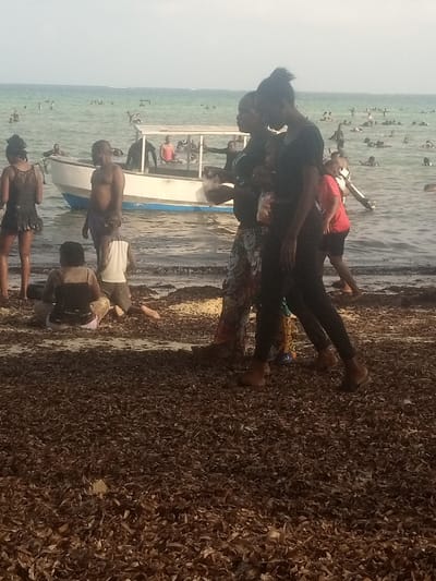 The scene depicts a coastal area in Shanzu ward, Kenya, characterized by a busy beach and ocean environment.
In the immediate foreground, the ground is densely covered with a layer of dark brown, dried organic matter, resembling accumulated seaweed or foliage.
Multiple individuals are present. In the mid-ground, at the water's edge, a female in a dark swimsuit with an open-back design stands facing left. To her right, a shirtless male in dark shorts stands in shallow water, facing slightly right. Further right, a white and blue boat with a white canopy is partially submerged in the shallow water. Several people are visible in and around the boat, including one individual in a red top inside the boat. Another person in a red shirt and dark shorts stands in the water to the boat's right, holding a light-colored object.
On the organic ground layer, a female in a dark top with spaghetti straps and light bottoms is seated, facing away from the camera. Beside her, another individual in a white top and dark shorts kneels or sits, also facing away. To their right, two women walk side-by-side towards the right, with one wearing patterned trousers and the other in dark attire. Their feet, along with other visible feet, are directly on the organic debris.
In the background, the ocean extends to the horizon under a hazy sky. Numerous people are scattered across the water, engaging in swimming or wading activities.
