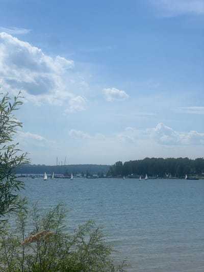 A body of water is in the foreground with a line of sailboats anchored along a distant shore, dotted with trees. The sky is blue with scattered white clouds. The water is calm and reflects the sky. The sailboats are of various sizes, some with their sails up and others with their masts visible. A few boats are moving across the water. The shore is lined with a dense forest, with some buildings visible in the distance. The image appears to be taken on a sunny day.