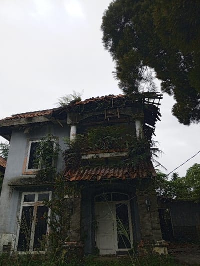 An abandoned two-story house is overrun with vegetation. The roof is crumbling, with exposed wooden beams and missing tiles. Plants grow on the balcony and walls. The gray exterior is stained, and the windows are empty. The front door is ajar, hinting at years of neglect. A large tree looms overhead, obscuring parts of the building. The scene evokes a sense of decay and forgotten beauty.