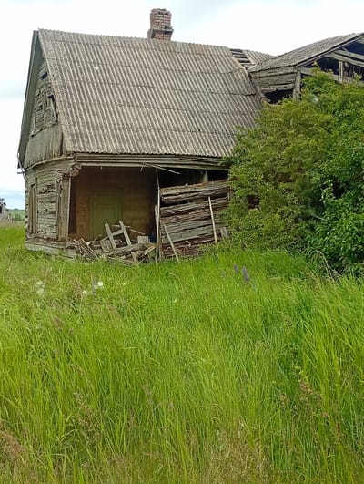 In the city of Kalniškiai, Lithuania, an abandoned, dilapidated wooden house stands amidst overgrown green grass. The house, partially collapsed and weathered, displays a corrugated roof and a brick chimney. Sections of the wooden walls have fallen away, revealing the interior and the remnants of debris. Dense green foliage encroaches on the right side of the structure. The surrounding environment is a natural landscape with tall grasses and scattered wildflowers. The sky is overcast, indicating a cloudy day. There are no people present in the scene.