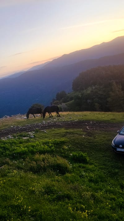 The image depicts a scenic mountain landscape at sunset. In the foreground, a grassy field dotted with small yellow wildflowers slopes down from a rocky plateau. On the plateau, two dark-colored horses are grazing. To the right of the plateau, a dark-colored car is parked on the grass, partially visible from the rear. In the middle ground, a dense forest covers a hillside. The background features layers of misty blue mountains receding into the distance, bathed in the warm, soft light of a setting sun. The sky above transitions from a pale blue near the horizon to a lighter hue at the top. This scene is located in the region of Simeonovets, Bulgaria.