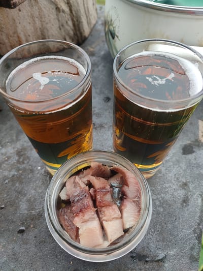 The image shows two glasses of beer and a jar of pickled herring on a textured, grey surface. In the background, out of focus, is a weathered piece of wood and the side of a cream-colored pot with a green rim. The beer glasses have a decorative band of dark green and yellow around their lower half, and are filled with amber-colored beer, with a frothy head. The jar of herring contains several pieces of fish, some with pinkish flesh and others with darker skin. The scene appears to be outdoors, given the natural elements in the background and the rough texture of the surface, which could be a table or patio. There are no people visible in the image.
