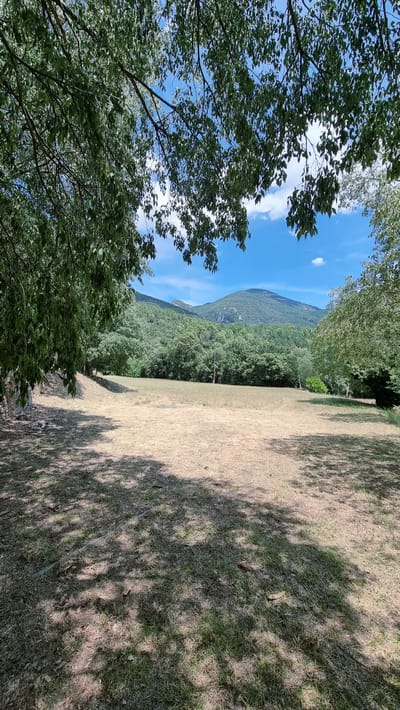 A sunlit, dry grassy field is situated in front of a verdant, forested mountainside. The foreground features the dappled shade of leafy branches casting shadows across the dry grass. In the mid-ground, the field transitions into a dense forest, which then gives way to rolling, tree-covered hills that recede into the distance. The sky above is a bright blue with scattered white clouds. The scene appears to be in a rural, natural setting in Sales de Llierca, Spain.