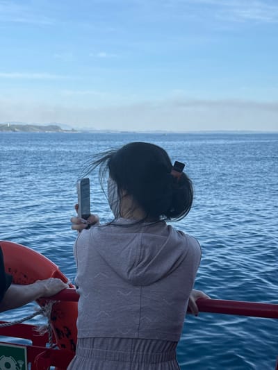 A young woman, wearing a light grey hoodie and matching pants, stands on a red-railed boat, facing away from the camera. She is holding a cell phone in her right hand, taking a photo of the ocean. Her dark hair is pulled back in a bun and secured with a clip. She is also wearing a light grey face mask. To her left, an orange life preserver is visible. The background shows a calm blue ocean under a clear sky, with a distant coastline on the horizon. The image is taken during the daytime. The location is likely An Hải, Vietnam, given the coastal scenery.