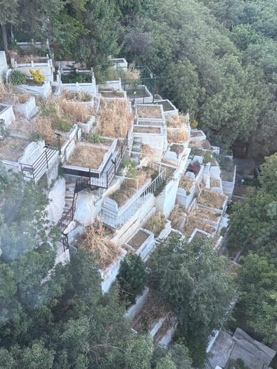 The image shows a cemetery located on a hillside in Eyüpsultan, Turkey. The cemetery is characterized by numerous tiered grave sites, many of which are enclosed by concrete or stone borders and are overgrown with dry grass and sparse vegetation. Several graves are adorned with white stone markers and some feature decorative iron fencing. The terrain is steep, with stone steps and pathways winding between the graves. Mature trees and dense foliage surround the cemetery, suggesting a natural, somewhat wild environment. There are no visible people in the image, but a few dark birds are perched on the fencing and ironwork. The overall impression is one of a well-established, older cemetery integrated into a natural, wooded landscape.