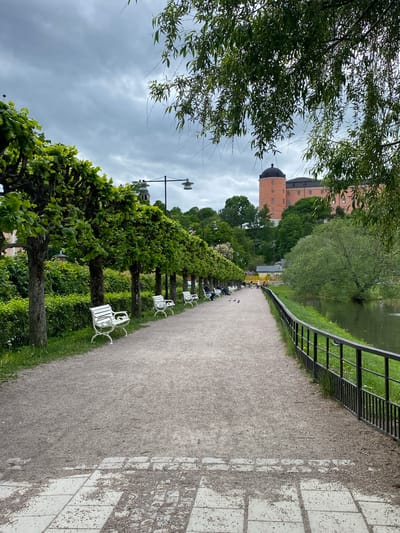 The image depicts a gravel path in Uppsala, Sweden, flanked by a row of pruned trees and white benches on one side and a metal railing overlooking water on the other. The Uppsala Castle is visible in the background on the left side. Overcast sky is present in the frame. The path appears to be a walking path in a park or garden setting. People sitting on the benches and walking along the path are present, but are not distinctly featured.