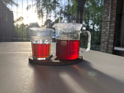 A glass and a laboratory beaker filled with dark red liquid sit on a wooden coaster on a gray surface. The glass appears to have condensation on it. The beaker is clearly labeled with "HARIO." Behind them is an out-of-focus scene of foliage and a fence, with bright sunlight filtering through. The composition suggests an outdoor setting, possibly a balcony or patio. Shadows cast by the glass and beaker stretch across the surface.