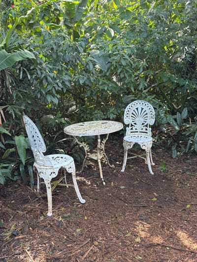Two white cast iron chairs and a matching table are set on the ground in a lush, dense garden setting. The chairs have ornate, decorative backs featuring fan-like patterns, and the table has a similar decorative pattern on its surface and legs. The ground is covered with dark soil and a layer of mulch and fallen leaves. The background is filled with a variety of green foliage, including large, broad leaves and smaller, denser plants, suggesting a tropical or subtropical environment. The lighting indicates it is daytime, with sunlight filtering through the leaves, creating some dappled shadows. The scene appears to be within the Parque das Aves (Bird Park) in Foz do Iguaçu, Brazil, a popular tourist attraction known for its dense vegetation and bird exhibits. There are no people or animals visible in the image.