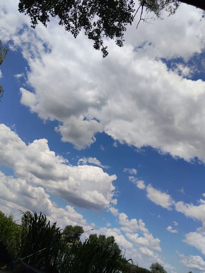The image depicts a wide-angle view of a bright blue sky filled with scattered white and gray clouds. The perspective is looking upwards, with the tops of trees and foliage framing the sky from the top and bottom edges of the image. In the foreground, dense green reeds and tall grasses are visible, suggesting a natural or wetland environment. Two fishing rods are also present, partially obscured by the reeds, indicating that fishing might be the activity taking place. In the distance, more trees are visible, forming a treeline along what could be a body of water, hinting at a riverside or lakeside location. The sunlight is strong, as suggested by the bright sky and the shadows cast by the clouds, indicating it is likely daytime, possibly late morning or afternoon. The weather appears to be fair, with a mix of sun and clouds. The overall impression is one of a serene, outdoor setting, possibly in Ukraine, given the location context. There is no visible text in the image.