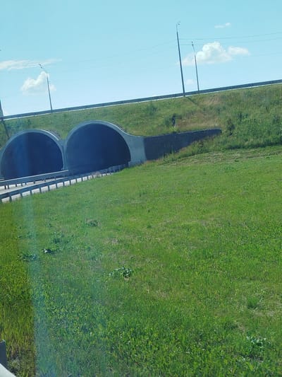 The image shows a highway overpass with two parallel tunnels, likely for wildlife or pedestrian passage, in the city of Yalutorovsk, Russia. The tunnels are constructed with arched concrete entrances, and the surrounding area is covered in green grass and vegetation. A guardrail runs along the side of the road. In the background, there are two utility poles with power lines against a clear blue sky with scattered clouds. The overall scene suggests a natural environment integrated with infrastructure.