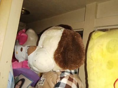 The image depicts an interior scene within a shelf or cabinet, specifically in the city of Inxuba Yethemba Nu, South Africa. The primary subjects are multiple plush toys arranged in a confined space. In the foreground, a cream and brown plush dog toy is positioned, facing right, displaying a dark brown floppy ear and a partial view of a brown and white checkered pattern on its body. To the left of the dog, a white Hello Kitty plush toy is visible, characterized by a pink bow on its left ear, an orange nose, and two black eye dots. Partially obscured beneath the Hello Kitty plush is a framed photograph or card showing a segment of a human face with dark hair. To the right of the dog, a large, yellow, textured plush object is present. The environment consists of light-colored wooden or laminate panels, forming a shelf above the objects and vertical supports. A circular metallic fixture is discernible on the overhead panel. The scene is dimly lit.