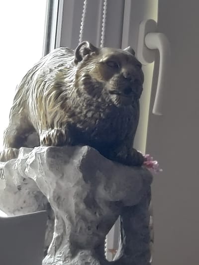 This is a close-up, low-angle, eye-level photograph of a statue of a lion or large cat, positioned on a rough, grey, rock-like base. The statue is depicted in a crouched or resting pose, with its head facing slightly to the right of the viewer. It has a textured mane and fur, rendered in a bronze or aged metallic color. Tiny pink flower petals are visible on the right front paw of the statue. Behind the statue, a white window frame and vertical blinds are visible, suggesting an indoor setting, possibly near a window. The lighting is soft and diffused, casting gentle shadows. The statue appears to be an artistic representation of a wild animal. There is no indication of the city of Temirtau, Kazakhstan in the image.
