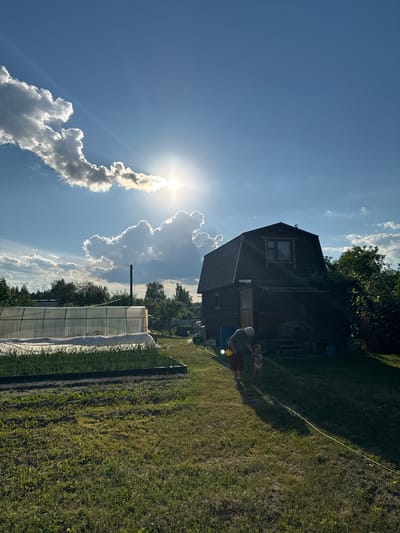 A wide shot captures a sunlit rural scene in Krivandino, Russia. The sun, partially obscured by dramatic clouds, shines brightly in the upper left quadrant of the sky. In the foreground, a neatly maintained garden with lush green grass leads towards a dark wooden house with a gambrel roof. To the left of the house is a greenhouse, covered with clear plastic sheeting, which encloses rows of young green plants. A person, possibly an adult, wearing a light-colored head covering and dark pants, stands in the yard near the house, interacting with a small child wearing a diaper. They appear to be holding a yellow object. A yellow hose stretches across the lawn. Trees and foliage surround the property, and a utility pole is visible in the distance.