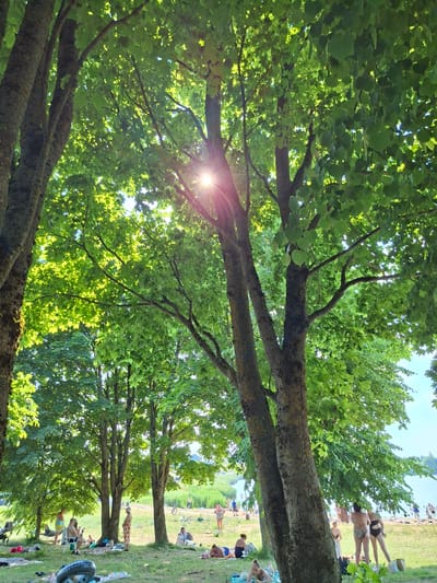 In Dzyarzhynsk, Belarus, on a sunny day, a group of people are enjoying themselves at a beach. Trees with lush green leaves provide shade to some individuals who are relaxing on the grass. The sun's rays pierce through the foliage, creating a dappled light effect. In the background, a body of water, likely a lake, is visible, with more people congregating on its shore. Some individuals are seen near bicycles, suggesting recreational activities. The overall scene depicts a tranquil summer day at a popular outdoor spot.