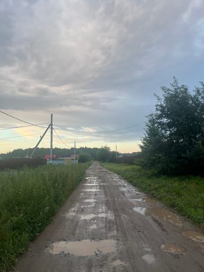 A vertical, low-angle shot captures a muddy, rural road in Klepiki, Russia. The road, wet and rutted from recent rain, is lined with puddles reflecting the overcast sky. To the left of the road, tall, green grass grows densely, bordering a dark, leafy tree that looms over the scene. Further down the road, telephone poles with tangled wires are visible, interspersed with glimpses of houses and a small yellow building. The sky above is a muted gray with streaks of lighter clouds, suggesting either dawn or dusk. The overall mood is peaceful and slightly melancholic, evoking a sense of quiet isolation. There is no visible text in the image.