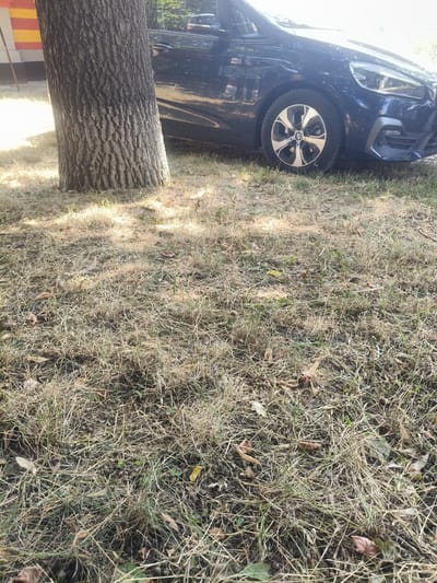 A dark blue car is parked on a dry, grassy area next to a tree with a thick, textured trunk. The ground is covered with dead grass, fallen leaves, and some sparse green shoots. Sunlight casts dappled shadows from the tree onto the ground. In the background, a building with horizontal yellow and red stripes is partially visible. The scene appears to be outdoors in a park or residential area. The location is specified as Valea lui Vlad, Moldova.