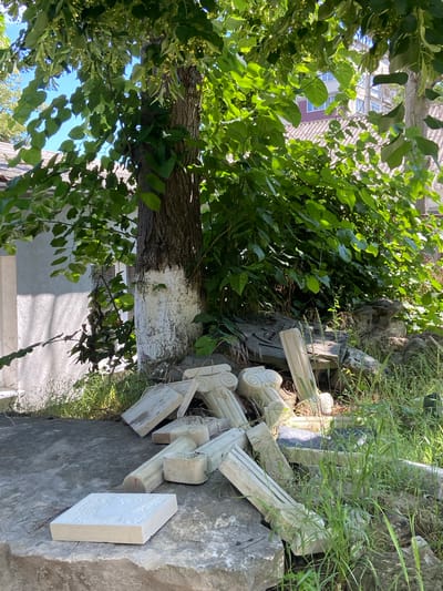 The image depicts a collection of weathered stone architectural elements, including ornate capitals with volutes and fluted shafts, scattered amongst overgrown grass and vegetation. These fragments suggest a historical or archaeological site, possibly remnants of a former structure. The stone appears aged, with some pieces showing signs of erosion and discoloration. A tree trunk with a section painted white is prominent in the foreground, partially obscuring the view of the stone fragments. The background reveals glimpses of a building with a tiled roof and windows, hinting at a rural or semi-urban setting. The scene is bathed in natural light, suggesting it was captured during the daytime. The overall impression is one of disuse and the passage of time, with nature slowly reclaiming man-made structures. The location context of Soroca, Moldova, adds a layer of potential historical significance to these ruins.