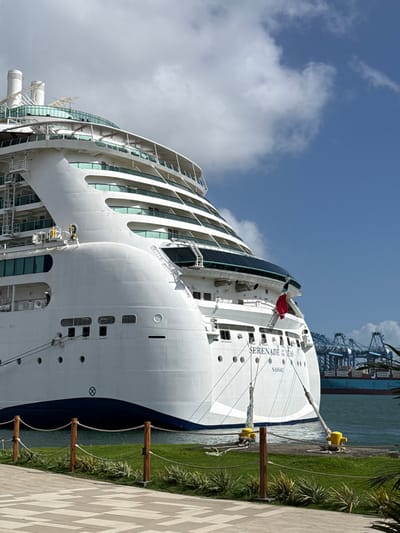 A cruise ship named "Serenade Seas Nassau" is docked along a pier. Ropes secure the stern to yellow bollards on wooden posts. The ship's white hull, marked with portholes, rises high, showcasing rows of cabin balconies enclosed in glass. In the background, port cranes loom over another ship. Vegetation lines the pier's edge, contrasting with the tiled surface. The sky above is partially cloudy.