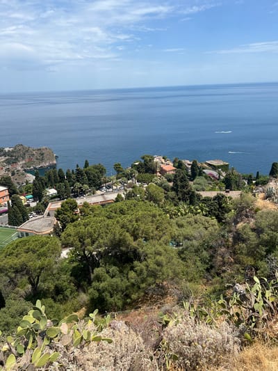 The image captures a panoramic view of the coastline near Taormina, Italy. The deep blue sea dominates the upper portion of the frame, meeting a clear sky with scattered white clouds. The horizon line is sharp and distinct.

In the mid-ground, the coastline is dotted with buildings and lush greenery. Several structures, some with terracotta roofs, are nestled among dense trees. A few small boats are visible on the water, leaving white wakes.

The foreground is a natural landscape featuring abundant vegetation. Prickly pear cacti are prominently displayed, with their flat, paddle-like pads. Other arid plants and dry grasses cover the rocky terrain. The overall impression is a sunny day with a clear view of the Mediterranean Sea and the coastal town.