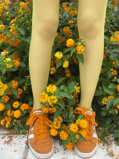 This image captures a person's legs from the knees down, adorned in light yellow tights, as they stand amidst a lush bed of vibrant orange and yellow flowers. The flowers, appearing to be Lantana, are in full bloom, creating a dense, colorful carpet that surrounds and partly obscures the legs. The person is wearing brown suede sneakers with orange laces, which stand out against the natural greenery and the bright floral display.

The scene is likely outdoors, given the abundance of flowers and foliage, and the presence of a concrete or stone surface on the right side of the frame, possibly a path or patio. The lighting suggests it could be daytime, with ample natural light illuminating the scene. The composition is a top-down view, emphasizing the textures and colors of the flowers and the fashion choice of the individual. The overall impression is one of a harmonious blend of human presence and natural beauty, with the bright colors suggesting a cheerful or lively atmosphere. There are no visible signs of specific weather conditions beyond what would be typical for an outdoor floral setting. No text is discernible in the image.
